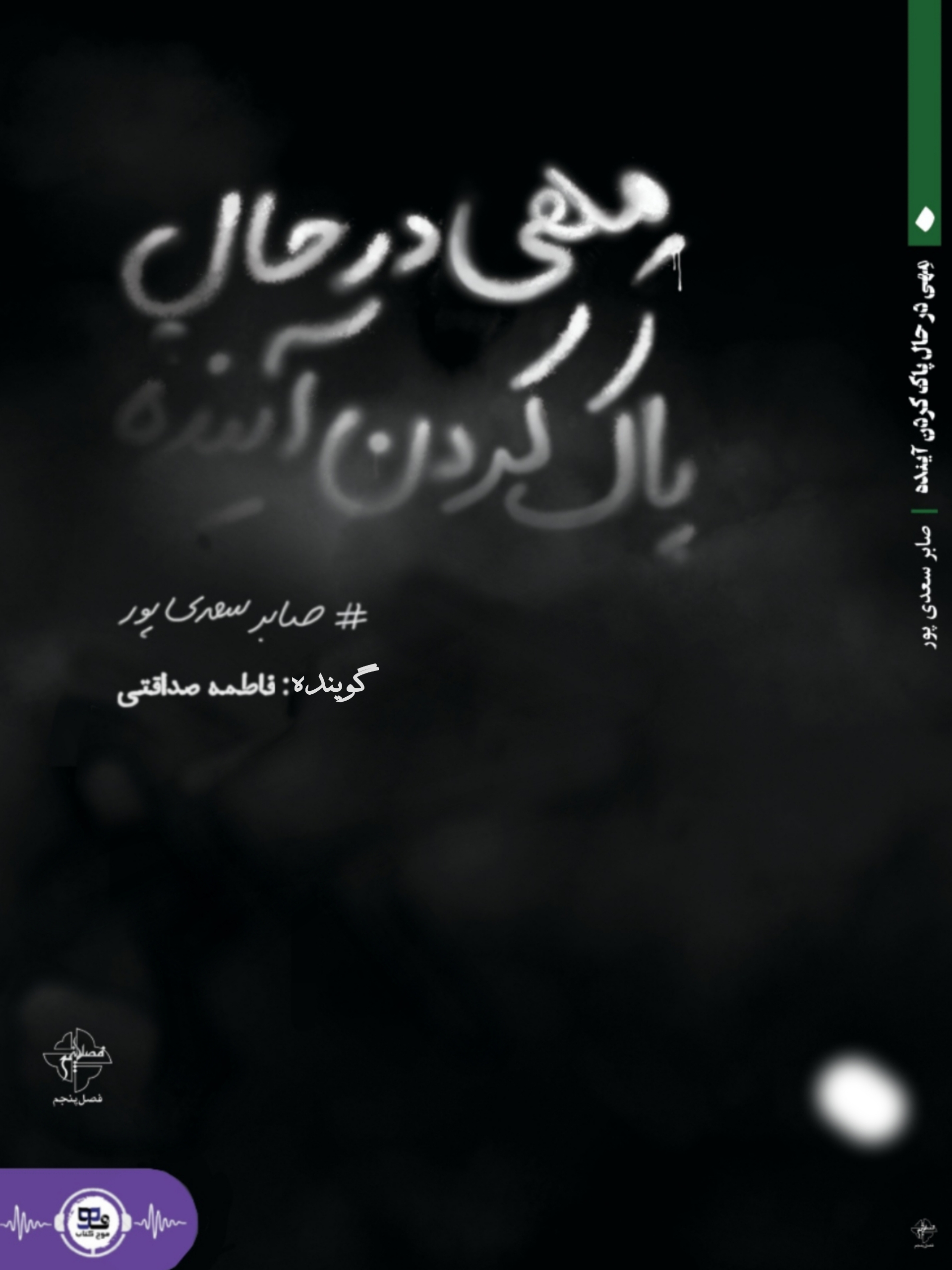 کتاب صوتی مهی در حال پاک کردن آینده