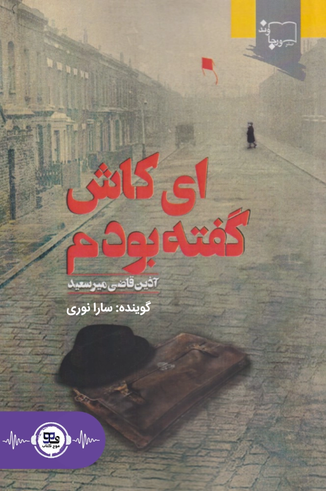 کتاب صوتی ای کاش گفته بودم